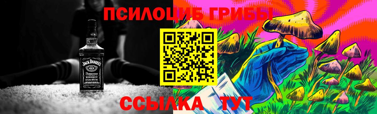 Галлюциногенные грибы MAGIC MUSHROOMS Чита