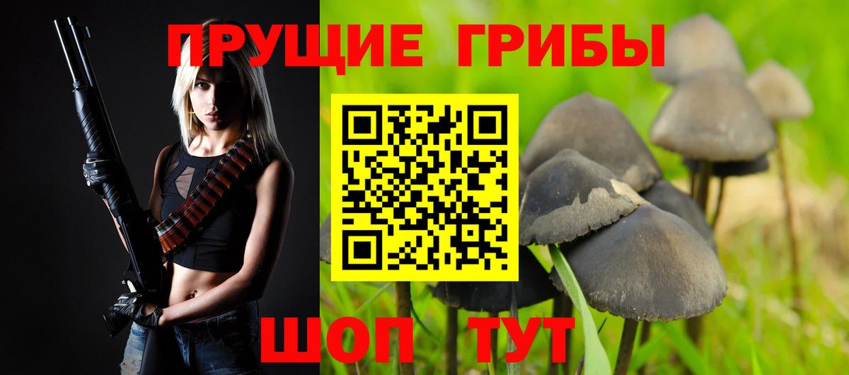 Чита  Псилоцибиновые грибы ЛСД  Вход с VPN  Галлюциногенные грибы GOLDEN TEACHER 